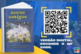 Livro – Novos amigos.